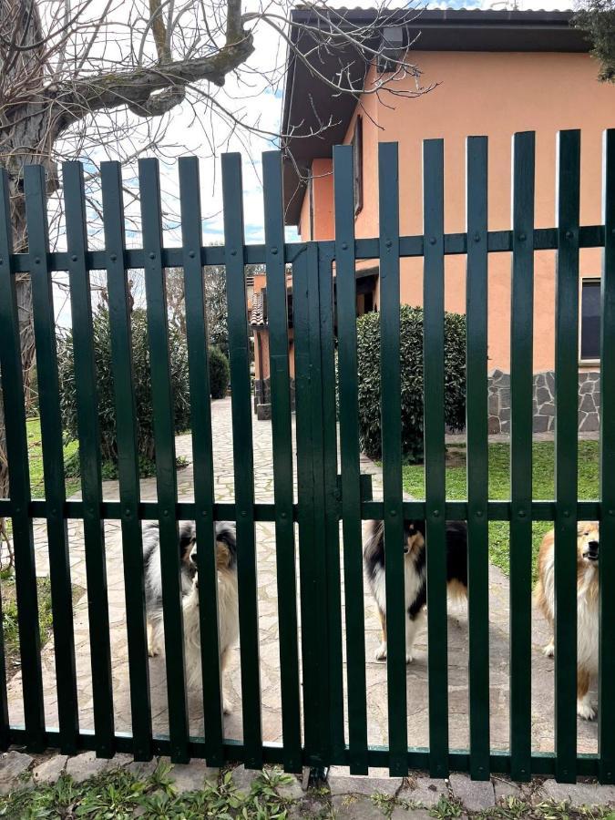 Loc.Cioccaie Apartment Grosseto Exterior foto