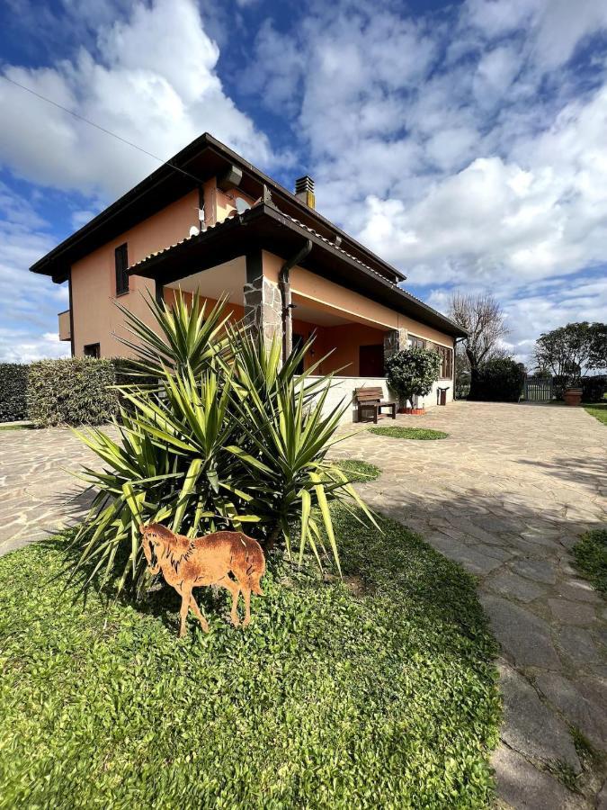 Loc.Cioccaie Apartment Grosseto Exterior foto